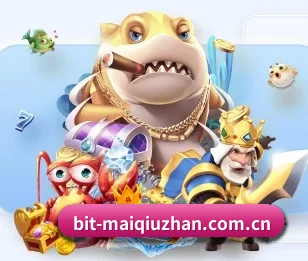 买球站的故事